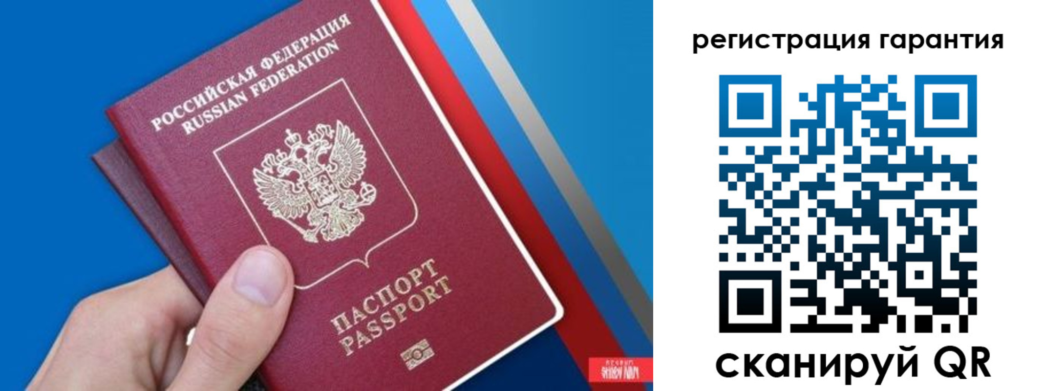 прописка для школы в Куртамыше